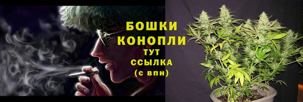 молекула духа Баксан
