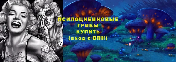 молекула духа Баксан
