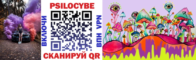 Псилоцибиновые грибы Psilocybine cubensis  Купить где  Полярные Зори 